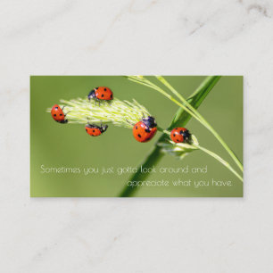 Positief motivatie citaat met kleine ladybugs visitekaartje