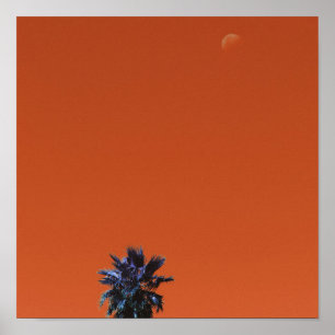 Positief tropisch boompalmmoonminimalisme bij vibe poster
