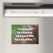 positieve-bevestigingsmagneet magneet (Insitu (Vaatwasser))