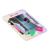 Positieve bietenpaarde - onverteerbaar magneet (Rechterzijde)