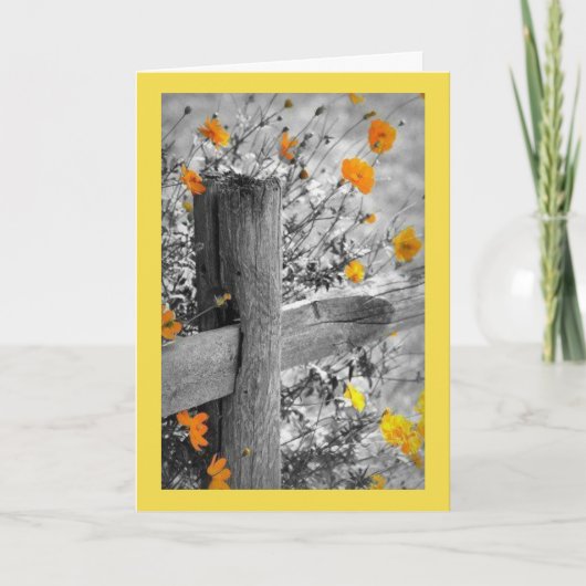 Positieve Gedachten & de Kaart van de Liefde (Voorkant)