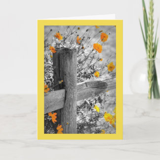 Positieve Gedachten & de Kaart van de Liefde