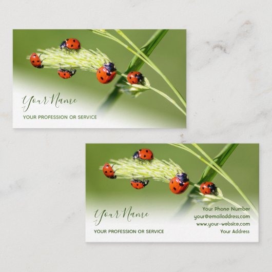 Positieve gelukshadybugs voor gezond welzijn visitekaartje (Voorkant / Achterkant)