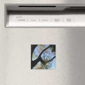 positieve houding magneet (Insitu (Vaatwasser))