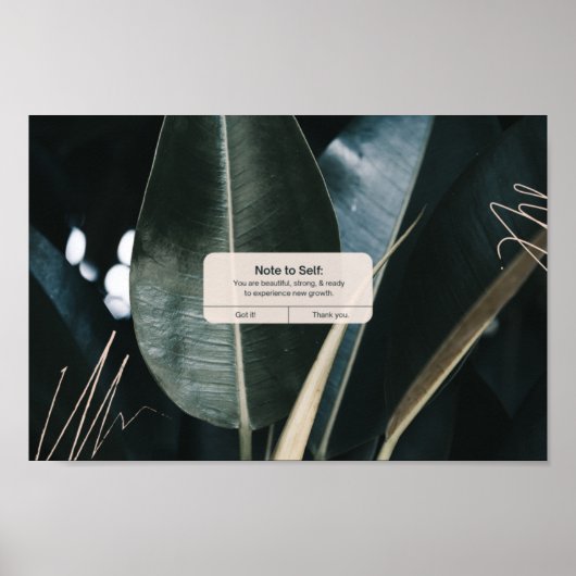 Positieve iPhone-herinnering & -bevestiging Poster (Voorkant)