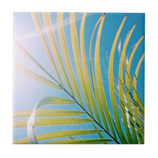 Positieve Vibes Palm Tree Sunny Tegeltje (Voorkant)