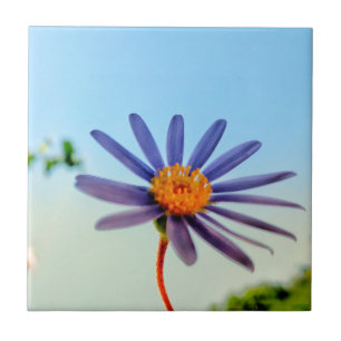 Positieve Vibes Wild Soft Blue Flower Tegeltje