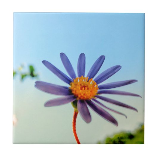 Positieve Vibes Wild Soft Blue Flower Tegeltje (Voorkant)