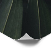 Positive Affirming Future Quote Wall Print (Hoek)