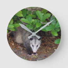 Possum AcrylWall klok
