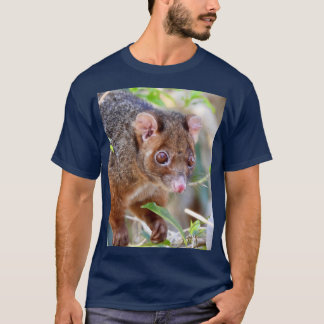 Possum at Arkarra Lagoons gift T-shirt
