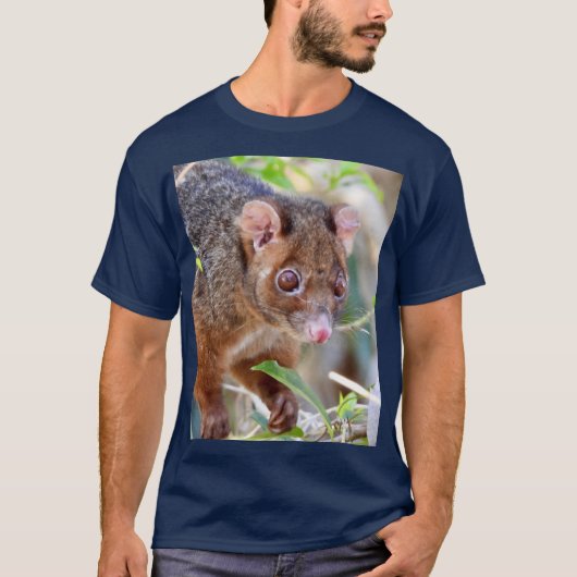Possum at Arkarra Lagoons gift T-shirt (Voorkant)