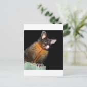 Possum at night briefkaart (Staand voorkant)