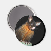 Possum at night magneet (Voorkant / Achterkant)