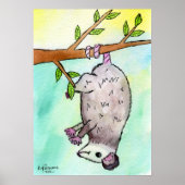 Possum Danglin' Poster (Voorkant)