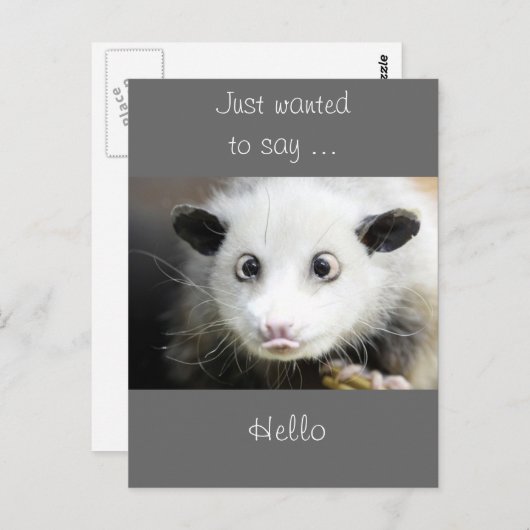 Possum Design Briefkaart (Voorkant / Achterkant)