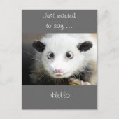 Possum Design Briefkaart (Voorkant)