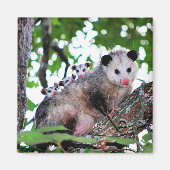 Possum en baby's magneet (Voorkant)