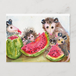 Possum Family Picnic Briefkaart