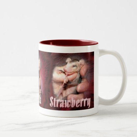 Possum Flavors Mok copy (Rechts)