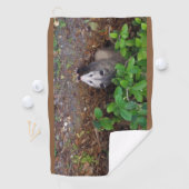 Possum in de ruwe golfhanddoek (Insitu)