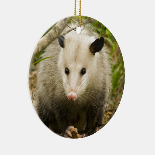 Possum is  - Opossum Didelphimorphia Keramisch Ornament (Rechts)