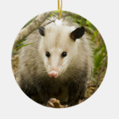 Possum is  - Opossum Didelphimorphia Keramisch Ornament (Voorkant)