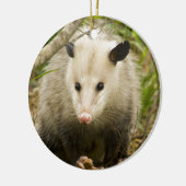 Possum is  - Opossum Didelphimorphia Keramisch Ornament (Links)