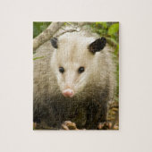 Possum is - Opossum Didelphimorphia Legpuzzel (Verticaal)