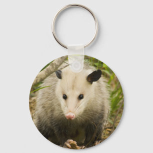 Possum is - Opossum Didelphimorphia Sleutelhanger