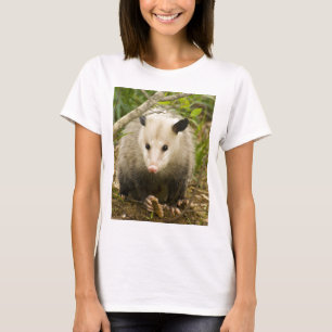 Possum is - Opossum Didelphimorphia T-shirt