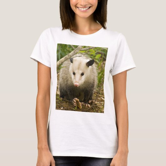Possum is - Opossum Didelphimorphia T-shirt (Voorkant)