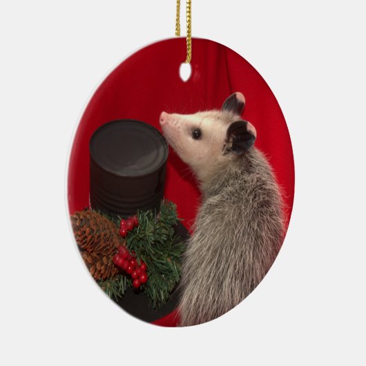Possum kerstversiering... Een van een Kind!!! Keramisch Ornament (Rechts)