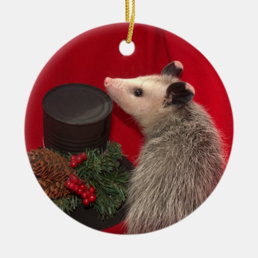 Possum kerstversiering... Een van een Kind!!! Keramisch Ornament (Voorkant)