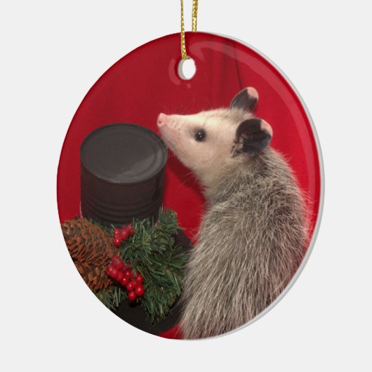 Possum kerstversiering... Een van een Kind!!! Keramisch Ornament (Links)