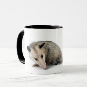 Possum Life - Sigh. Mok