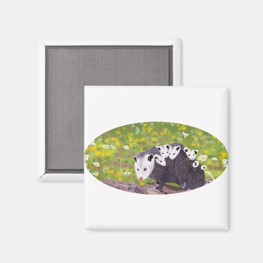 Possum Magneet (Voorkant / Achterkant)