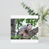 Possum, mama en baby's kaart (Staand voorkant)