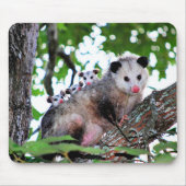 Possum, mama en baby's muismat (Voorkant)