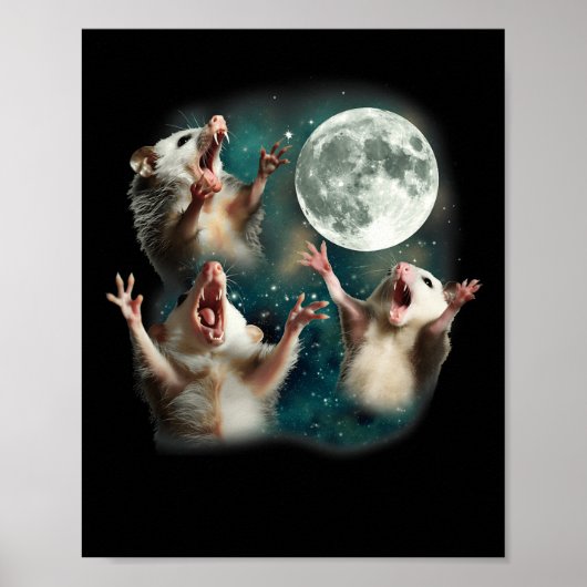 Possum Moon 3 Opossum Grappige Rare Vervloekte Mem Poster (Voorkant)