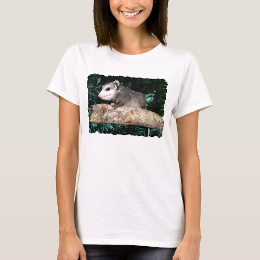 Possum on Branch T-shirt (Voorkant)