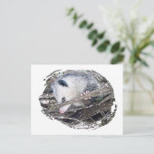 Possum Opossum Briefkaart (Staand voorkant)