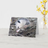 Possum Opossum Kaart (Gele Bloem)
