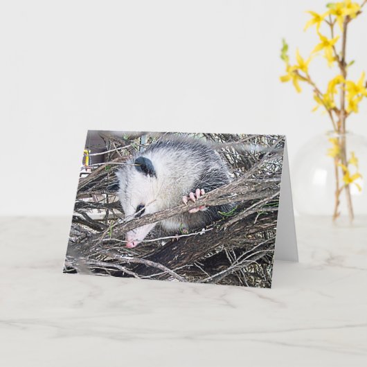 Possum Opossum Kaart (Gele Bloem)