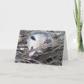 Possum Opossum Kaart (Voorkant)
