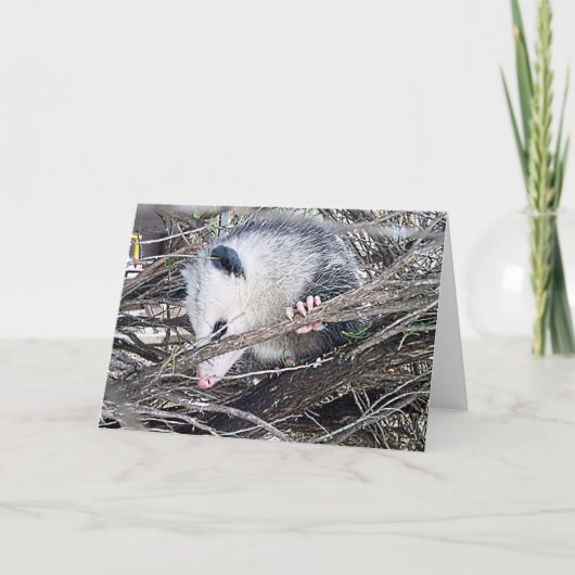 Possum Opossum Kaart (Voorkant)