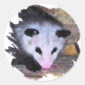 Possum Opossum Ronde Sticker (Voorkant)