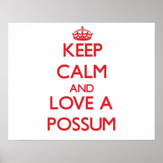 Possum Poster (Voorkant)