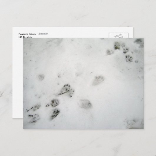 Possum Prints Briefkaart (Voorkant / Achterkant)