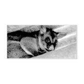 POSSUM QUEENSLAND AUSTRALIË RUBBERSTEMPEL (Afrduk)